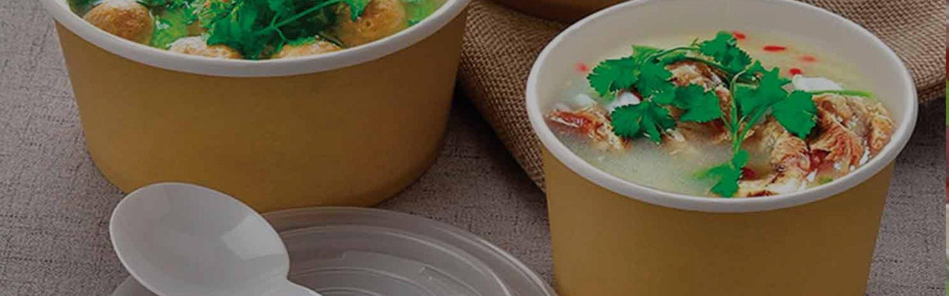 Paper Soup Bowl Solution