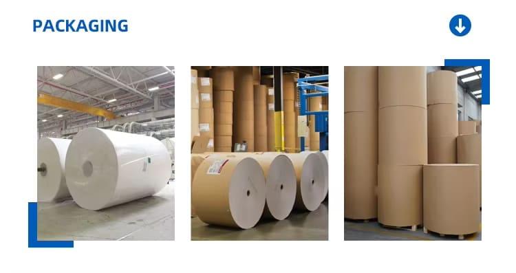 Paper Cup Roll (1).jpg Paper Cup Roll (1).jpg