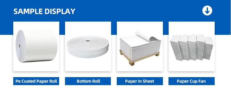 Paper Cup Bottom Roll (4).jpg Paper Cup Bottom Roll (4).jpg