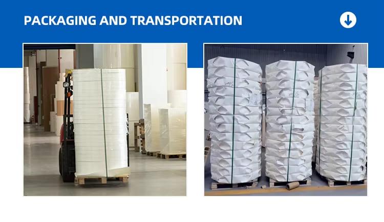 Paper Cup Bottom Roll (3).jpg Paper Cup Bottom Roll (3).jpg