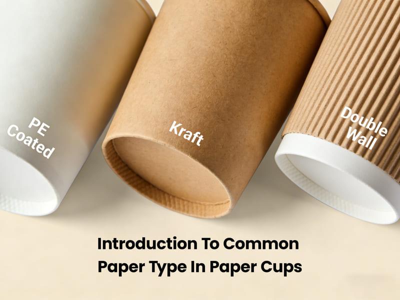 Introduction to Commonly Used Paper Types for Disposable Paper Cups